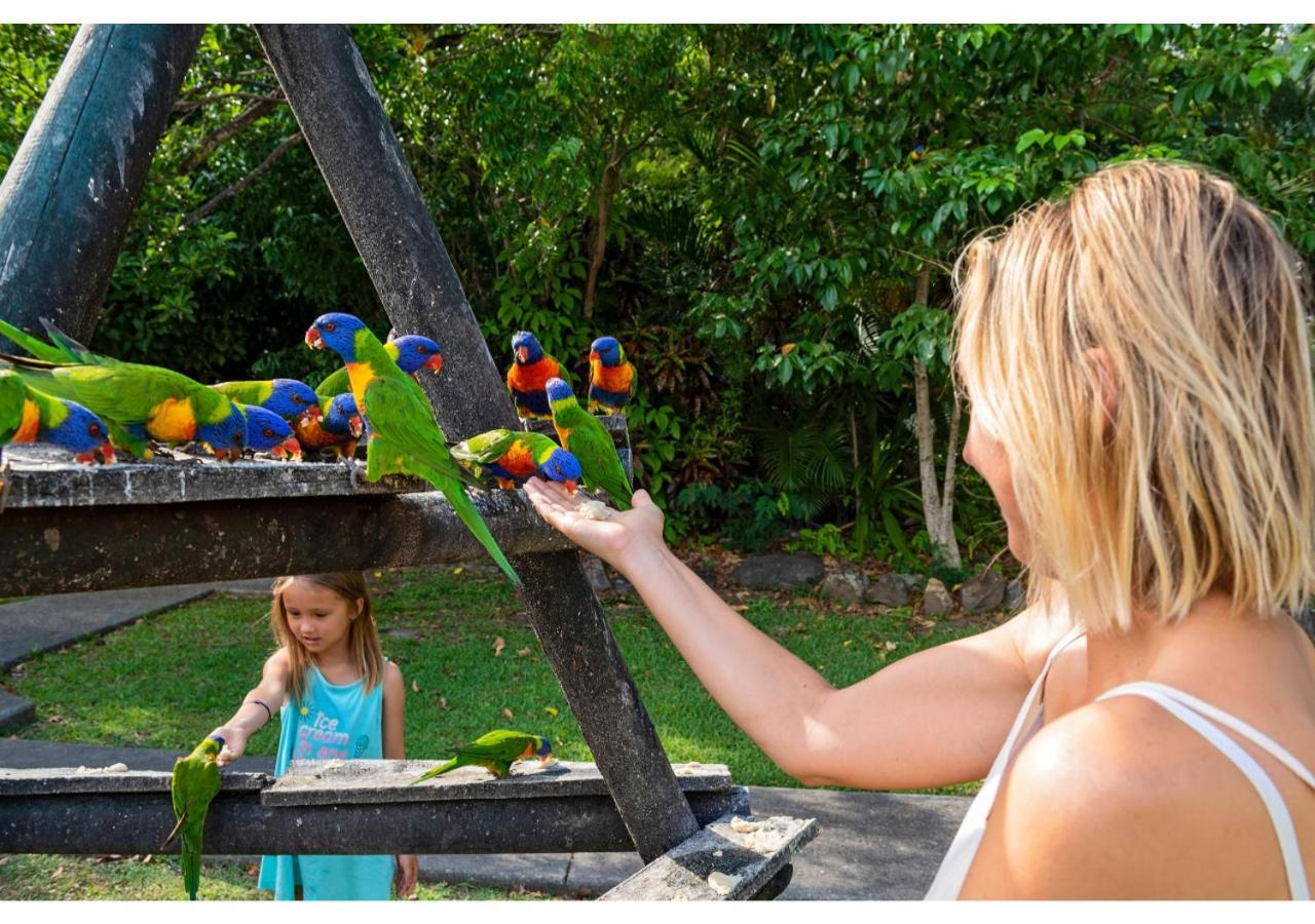 Discovery Parks - Airlie Beach Kültér fotó