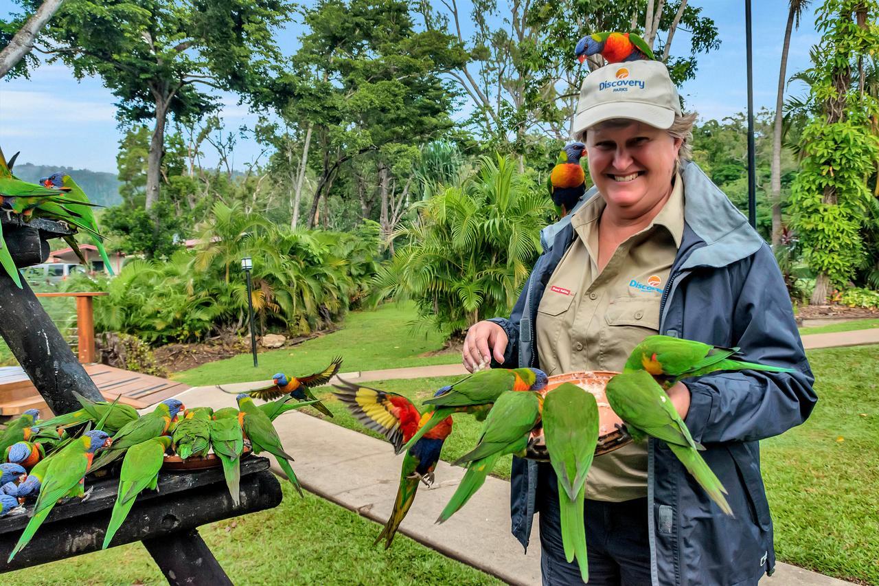 Discovery Parks - Airlie Beach Kültér fotó