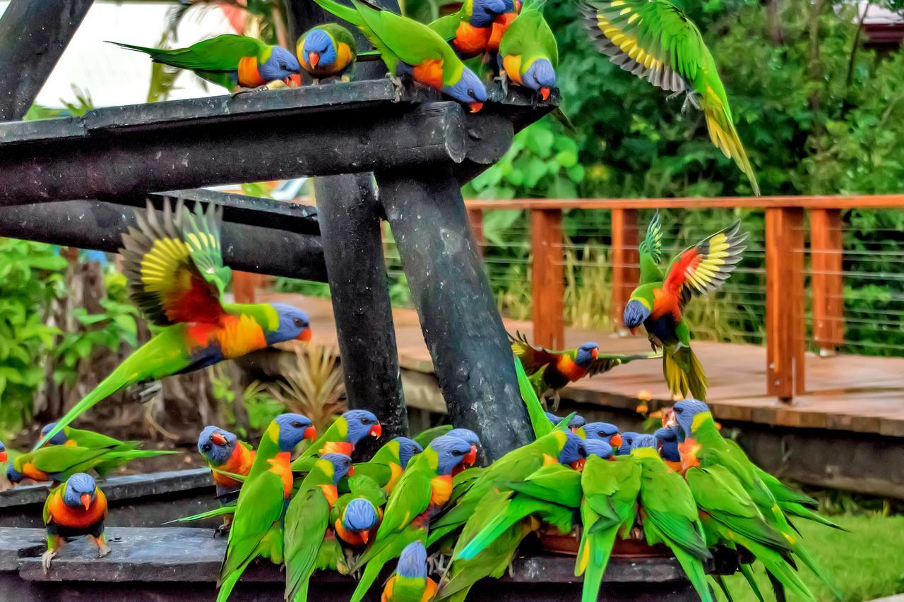 Discovery Parks - Airlie Beach Kültér fotó